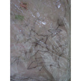 NOS Vintage Sheer Embroidered Rectangular Tablecloth 54x72 White Floral Zayres