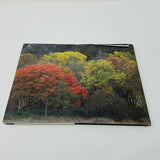 Toscana Il paesaggio e i segni dell'uomo Hardcover Book Photography Coffee Table
