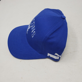 Vintage AF Air Force Academy Falcons Baseball Hat Cap Mens OS Snapback Puma ALA